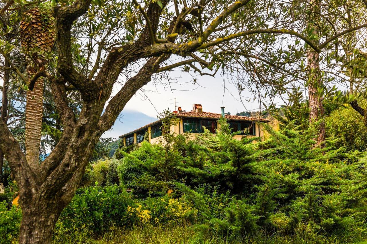 Bed and Breakfast Casa Matilde Mommio Экстерьер фото